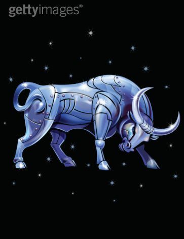 taurus9.jpg