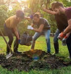 Profile (schroeckenfuchs)