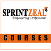sprintzeal_resized_2048w.png