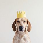 Profile (Itolchinskaia)