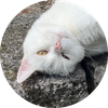 Casper.png