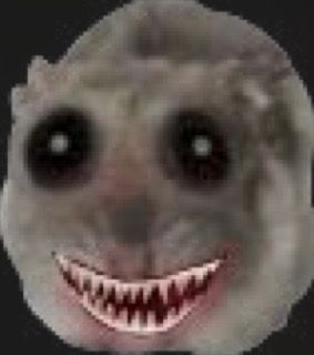 IMG_7498.jpeg