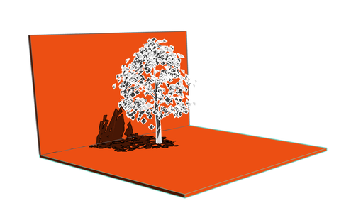 Sun Study on tree at summer solstice (21 June 2025, 12:00 PM)