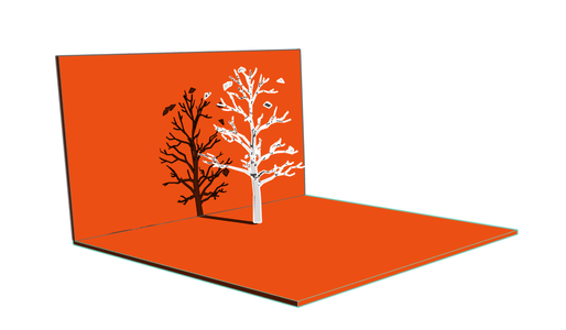 Sun Study on tree at winter solstice (21 December 2025, 12:00 PM)