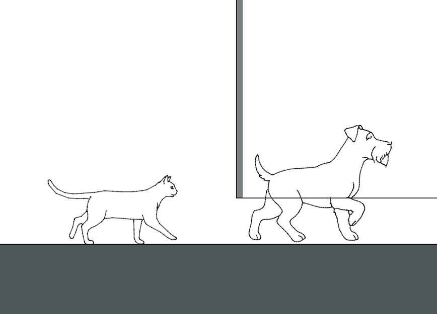 Dynamic Duo.png