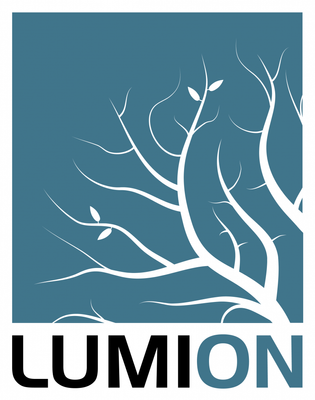 Lumion_logo_2017.svg-806x1024.png